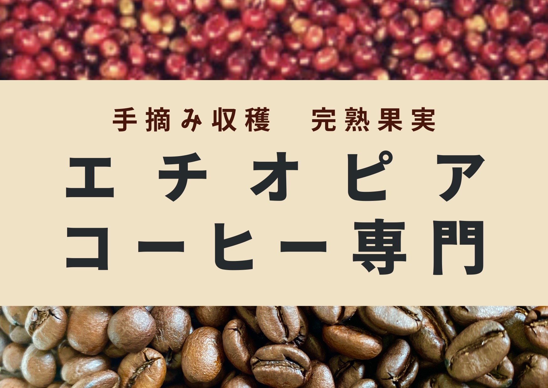 ポップ刷新