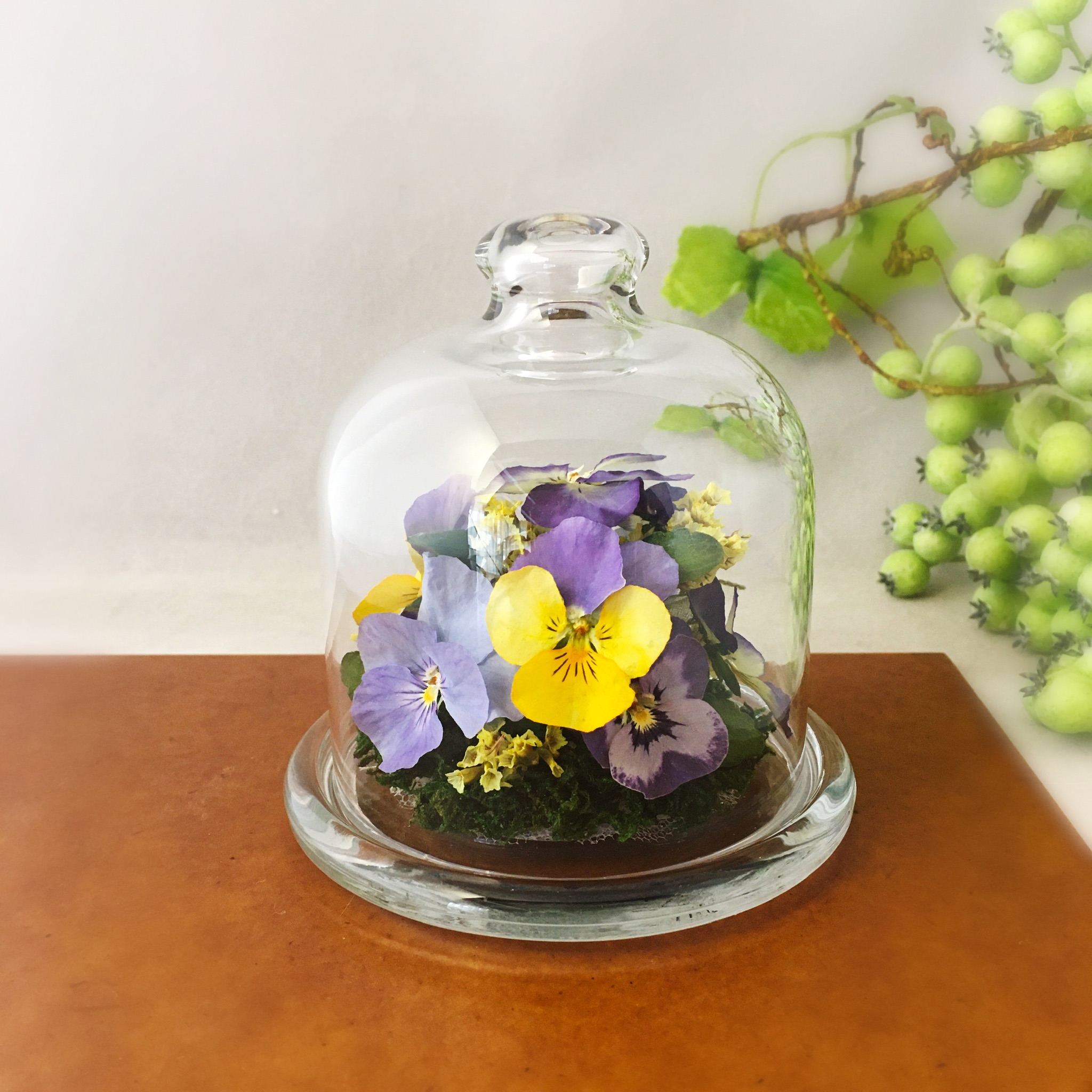 冬の花が咲き始めました。