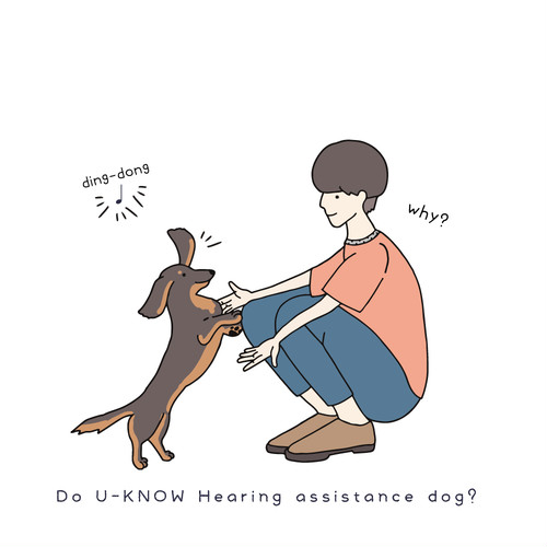 聴導犬を知っていますか？