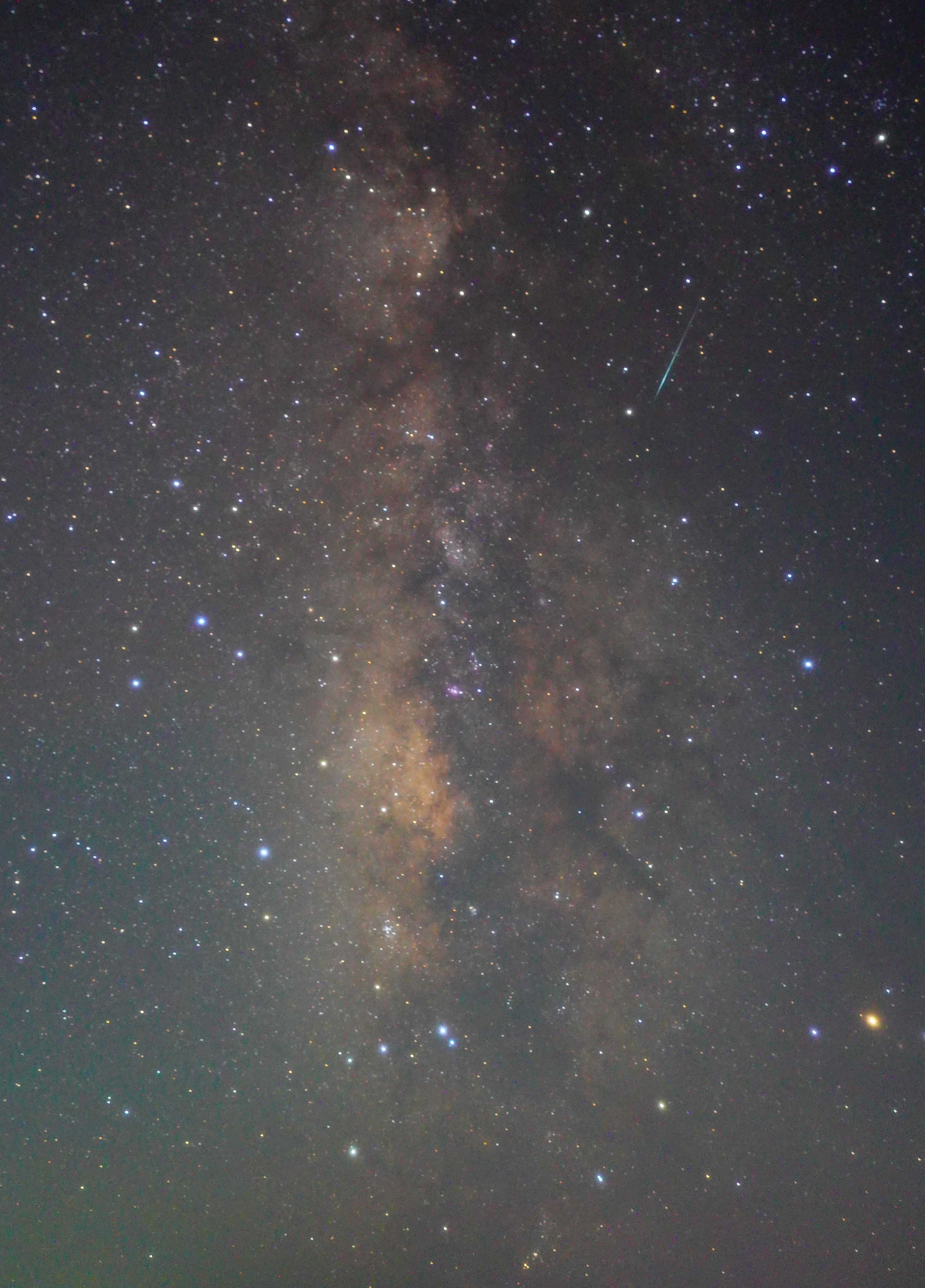 美しい星の世界に触れるきっかけになれたら