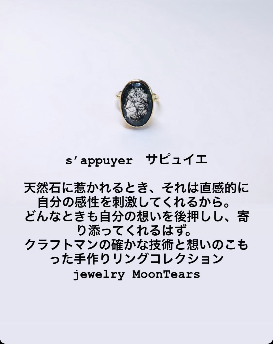 s’appuyer　サピュイエ 