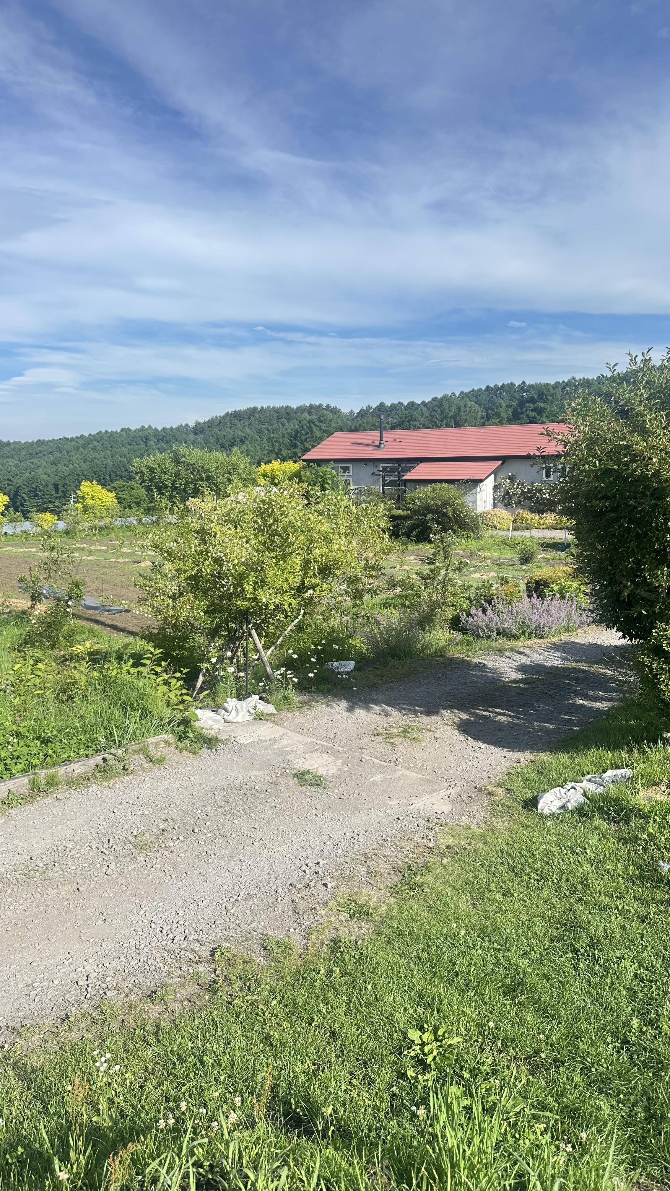 【重要】7月17〜23日.休暇のお知らせ!