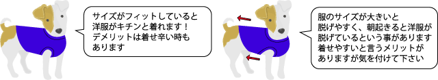 型紙の選び方