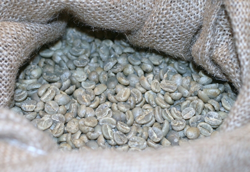 もう9月ですね!新しい豆が入荷中です