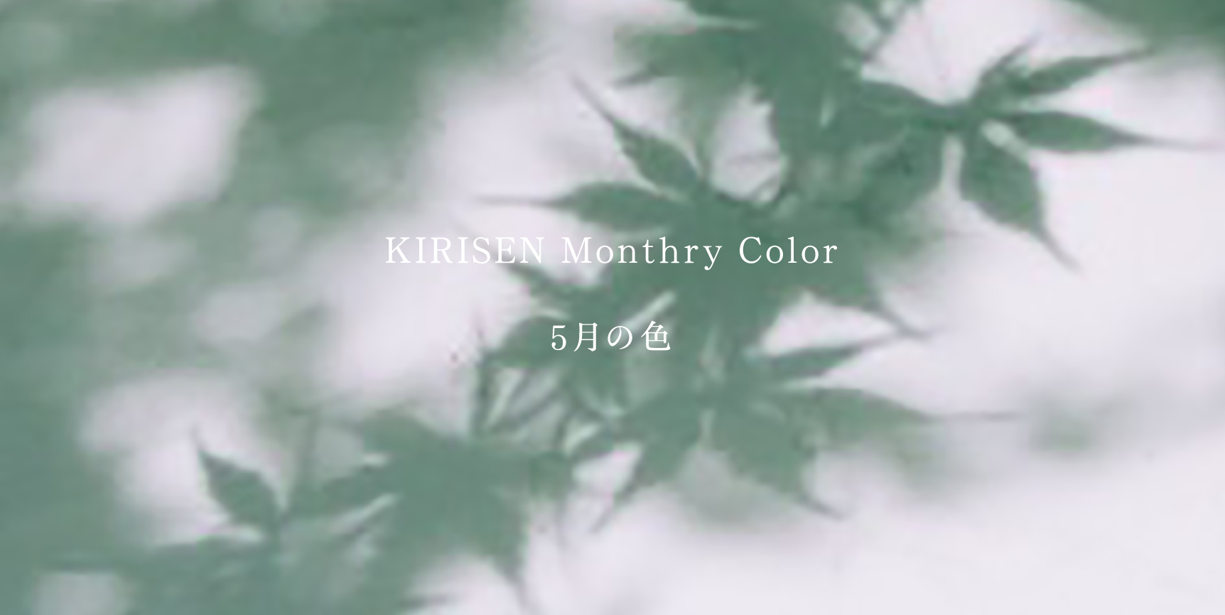【KIRISEN Monthly Color】5月の色は若草色