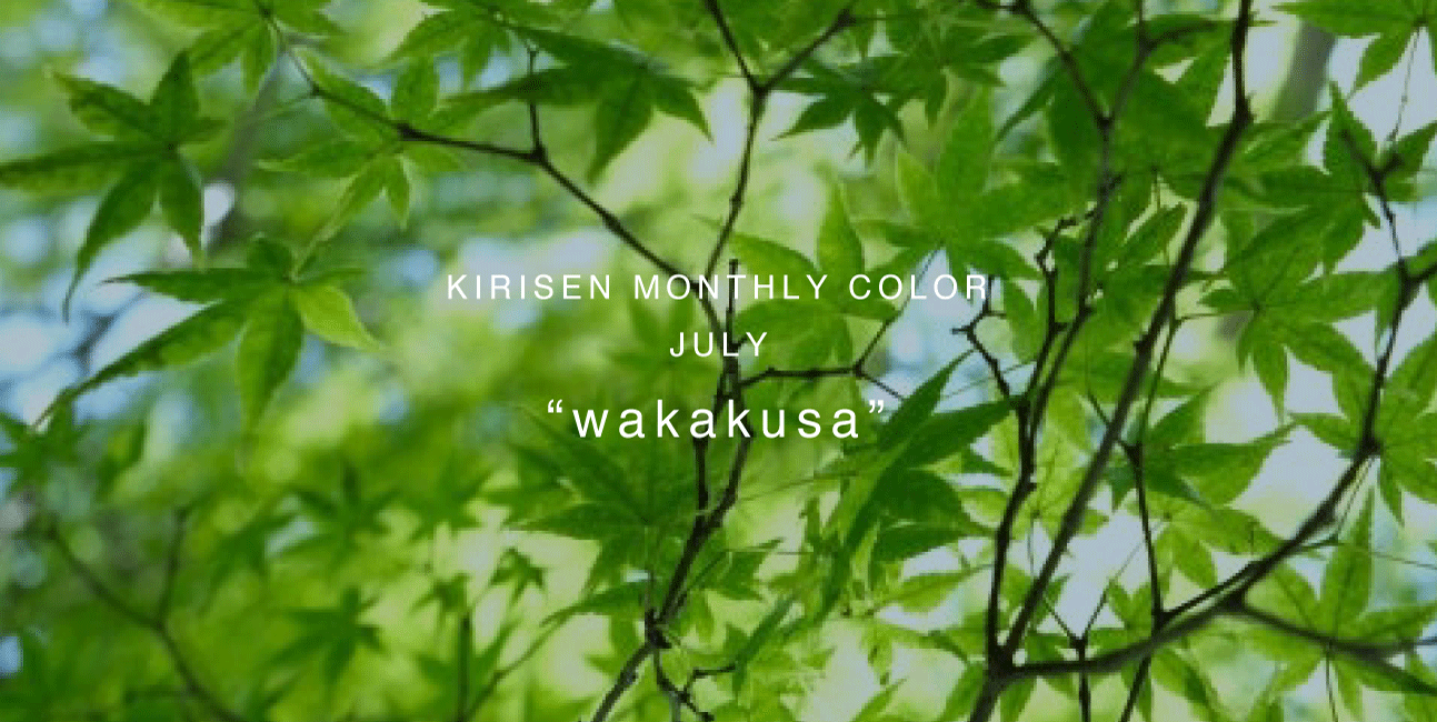 【お知らせ】お洋服の染め直し受付スタートしました!7月の色は”wakakusa”