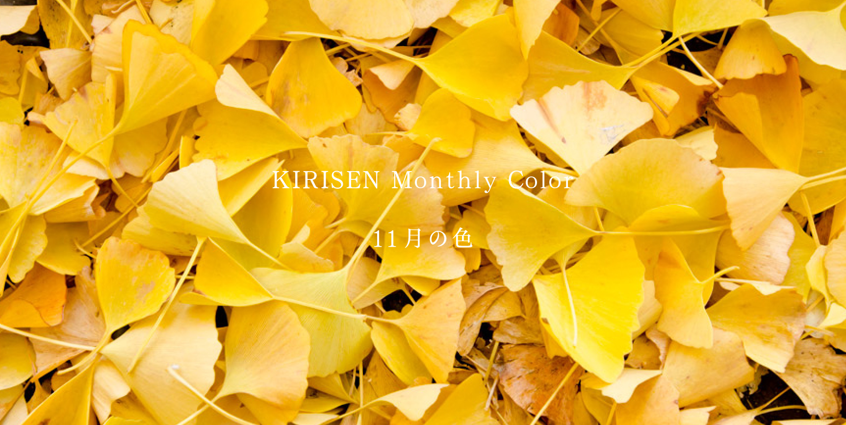 【お知らせ】KIRISEN Monthly Color  11月の色は「紅葉」