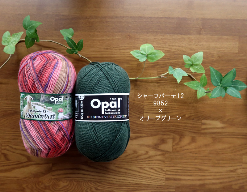 シャーフパーテ9852セット