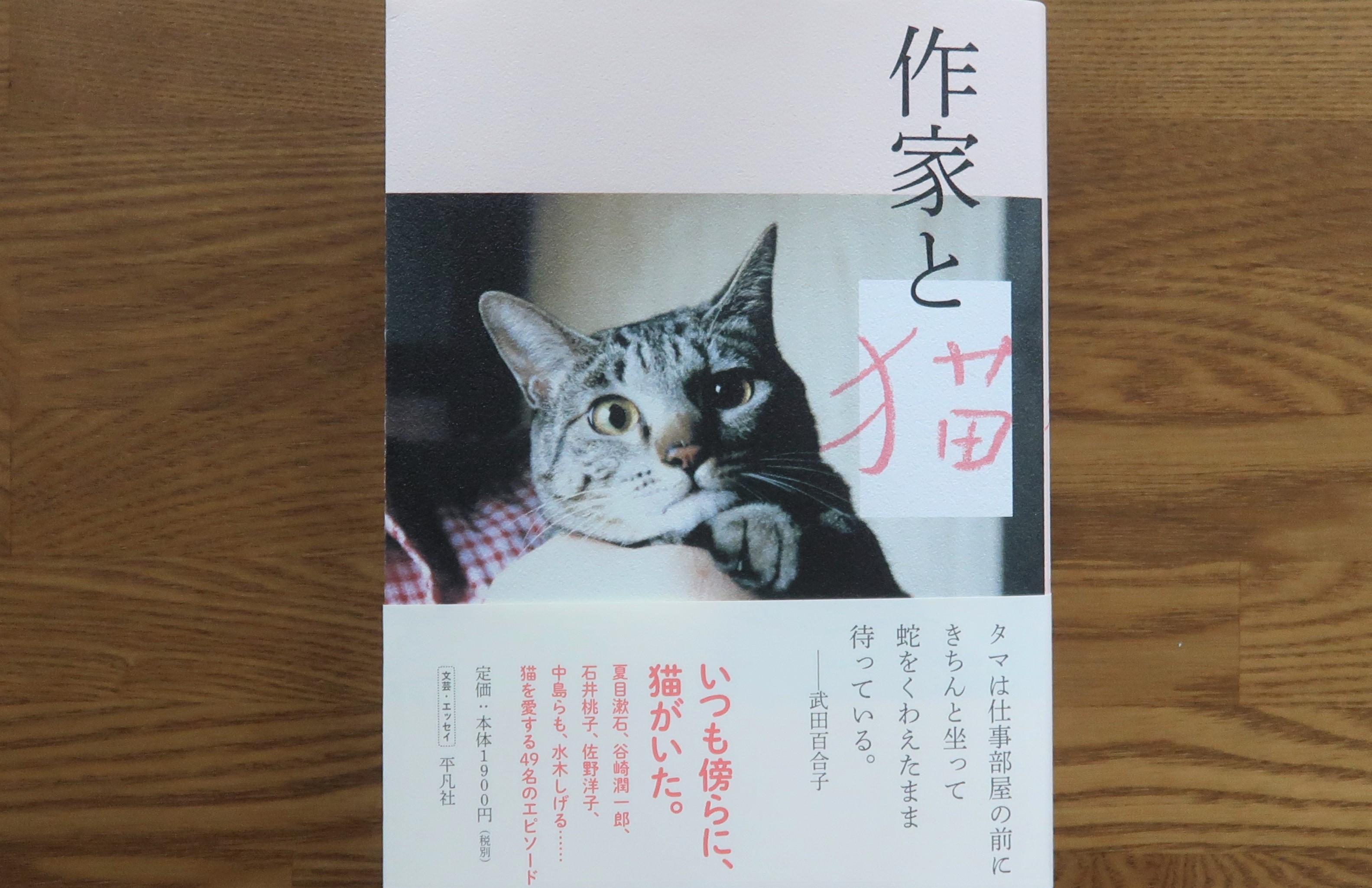 作家の猫