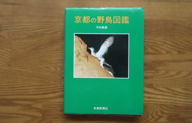 京都の野鳥図鑑