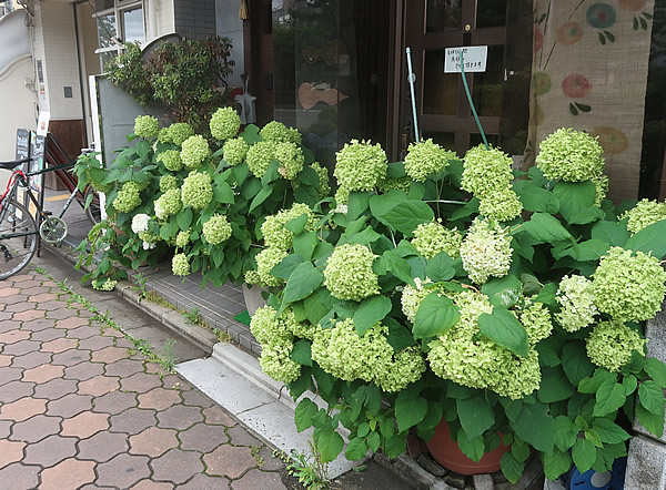気になる京都４の喫茶店