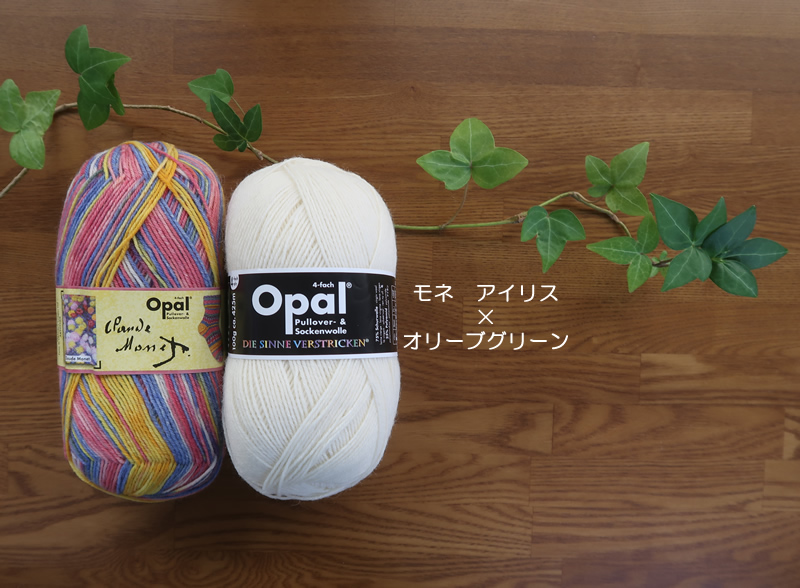 モネ菊＆ナチュラルホワイトセット