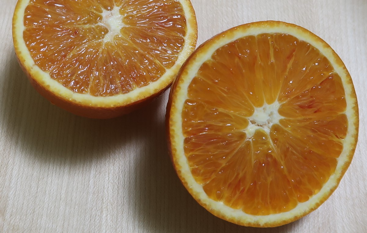 瀬戸内の無農薬ブラッドオレンジ