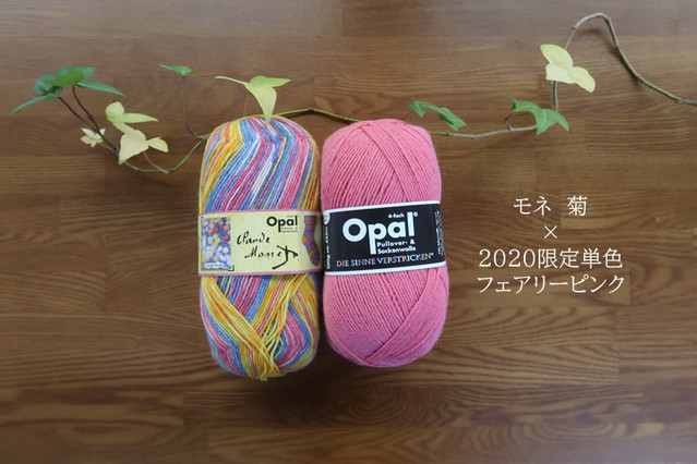 モネ　菊
