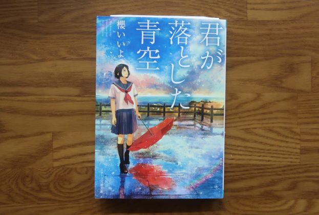 君が落とした青空