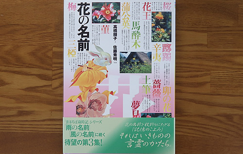 花の名前