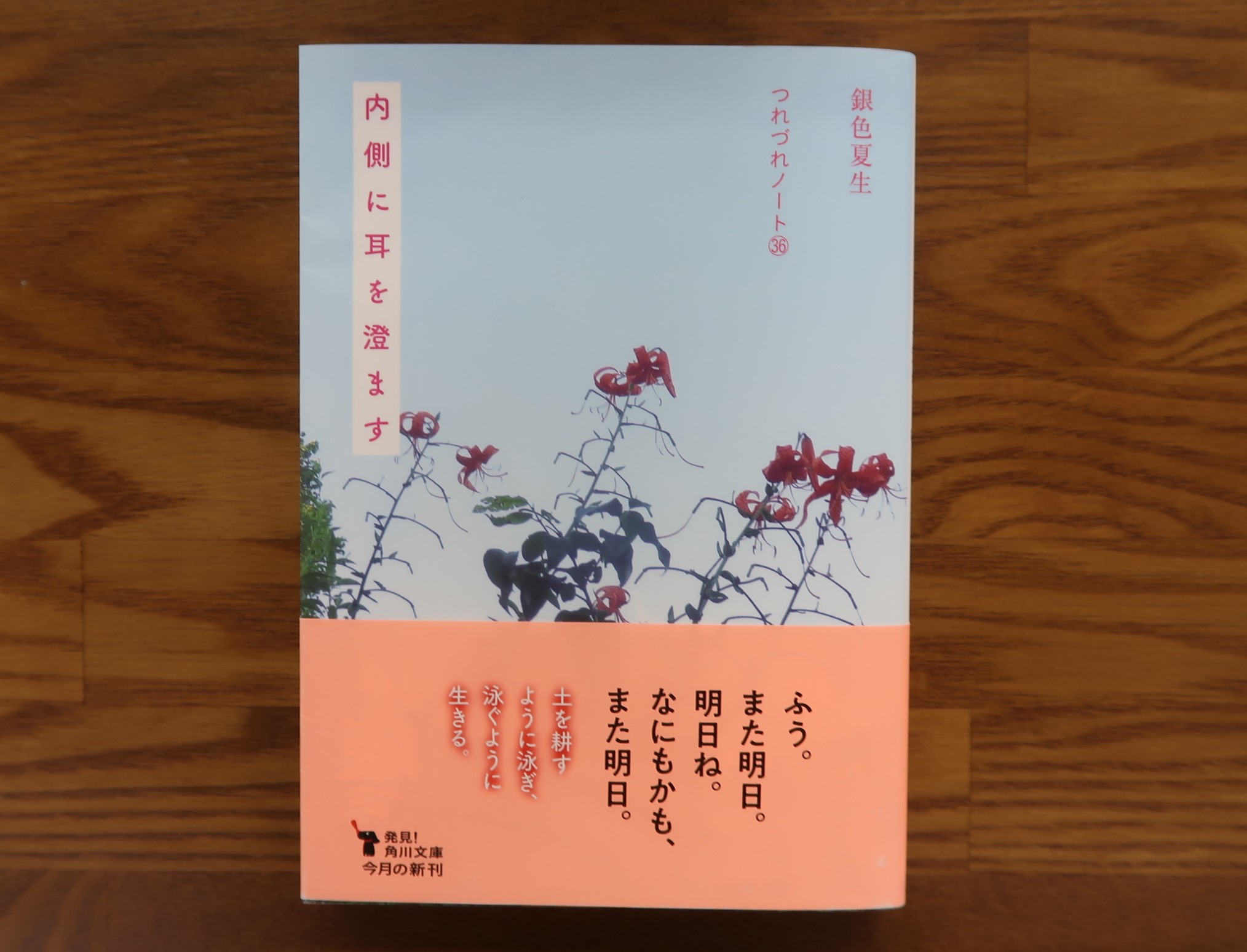 風の駅文庫古書入荷情報