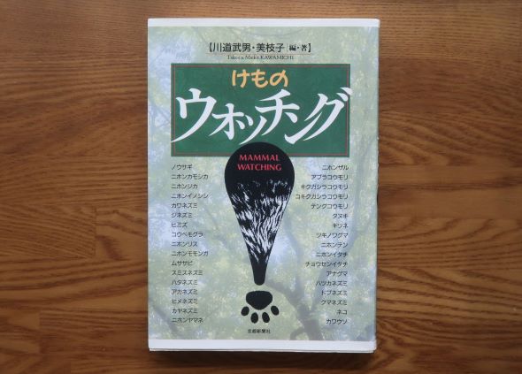 けものウォッチング