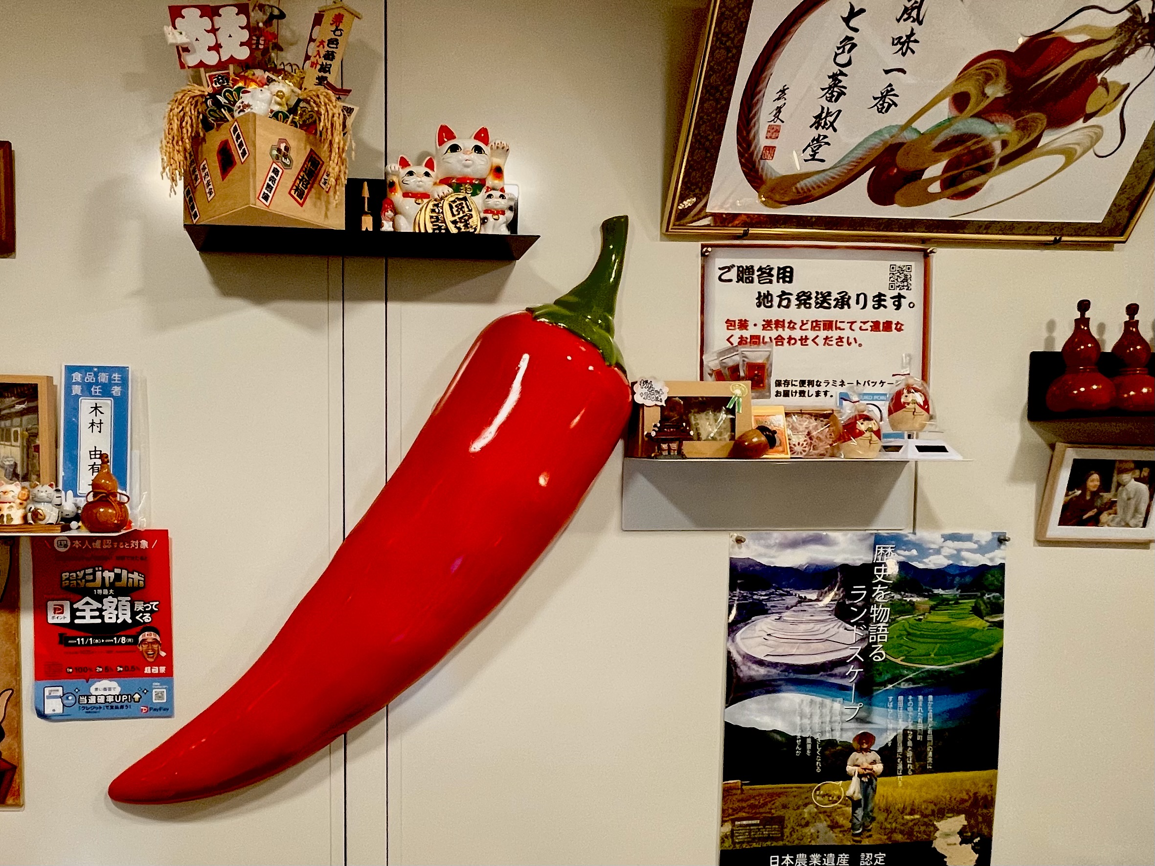 そもそも「唐辛子って？」