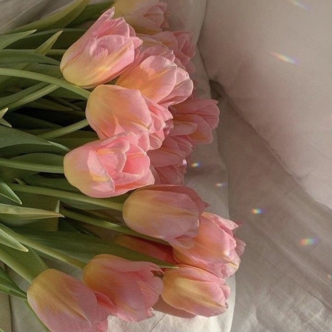 SNSとの向き合い方🌼