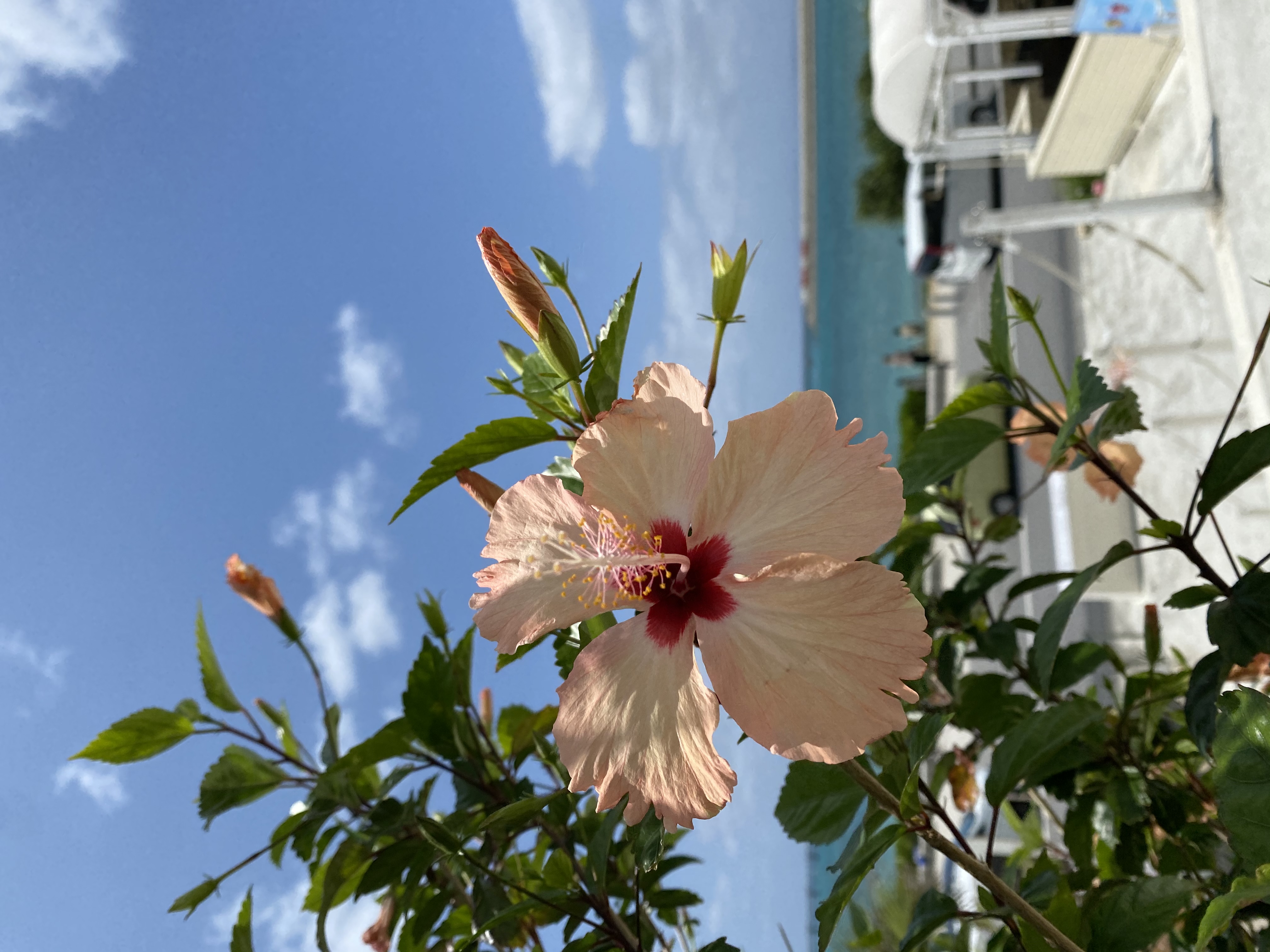 『許す』難しさ🥕