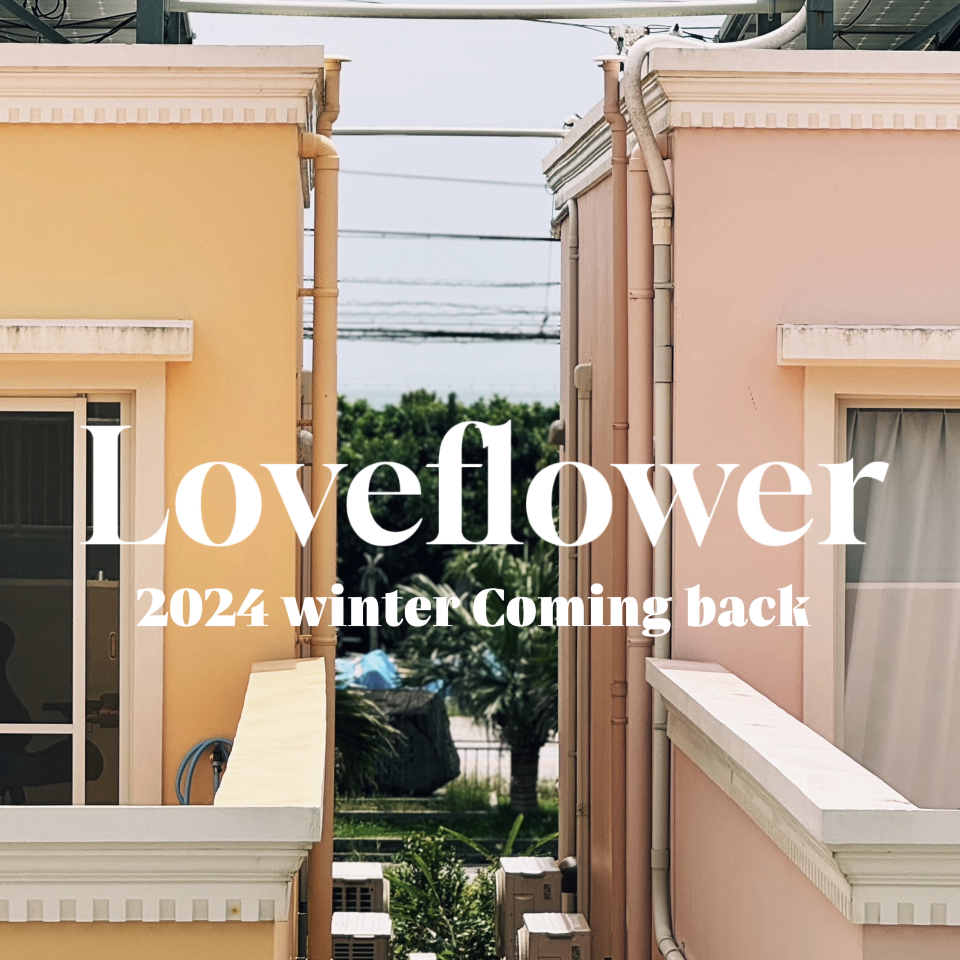 2024冬に再開します🌷