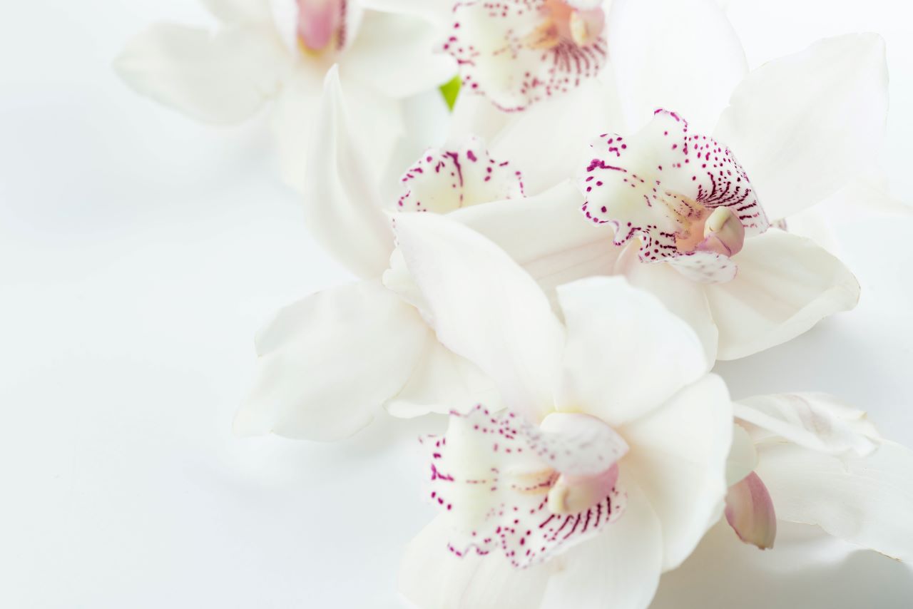 アトピーとのつきあい方