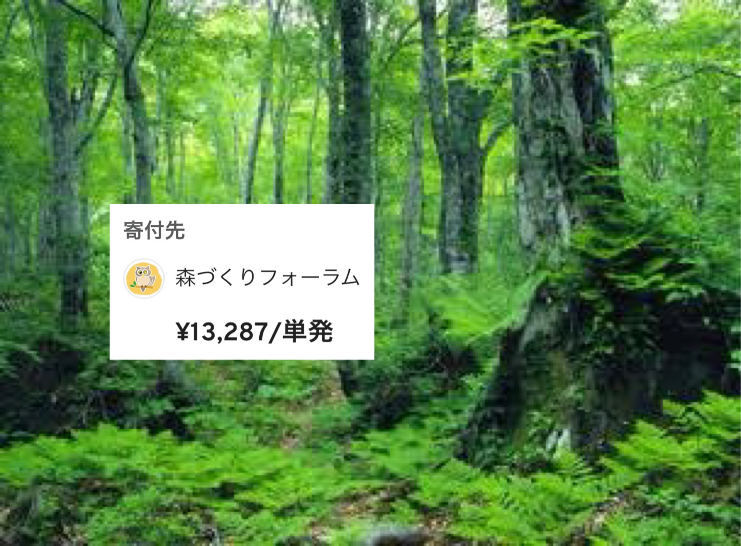 上半期の寄付をしました