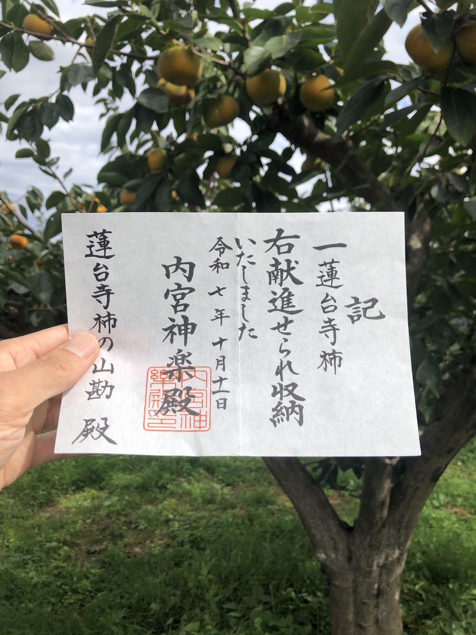 これからも日々精進します。