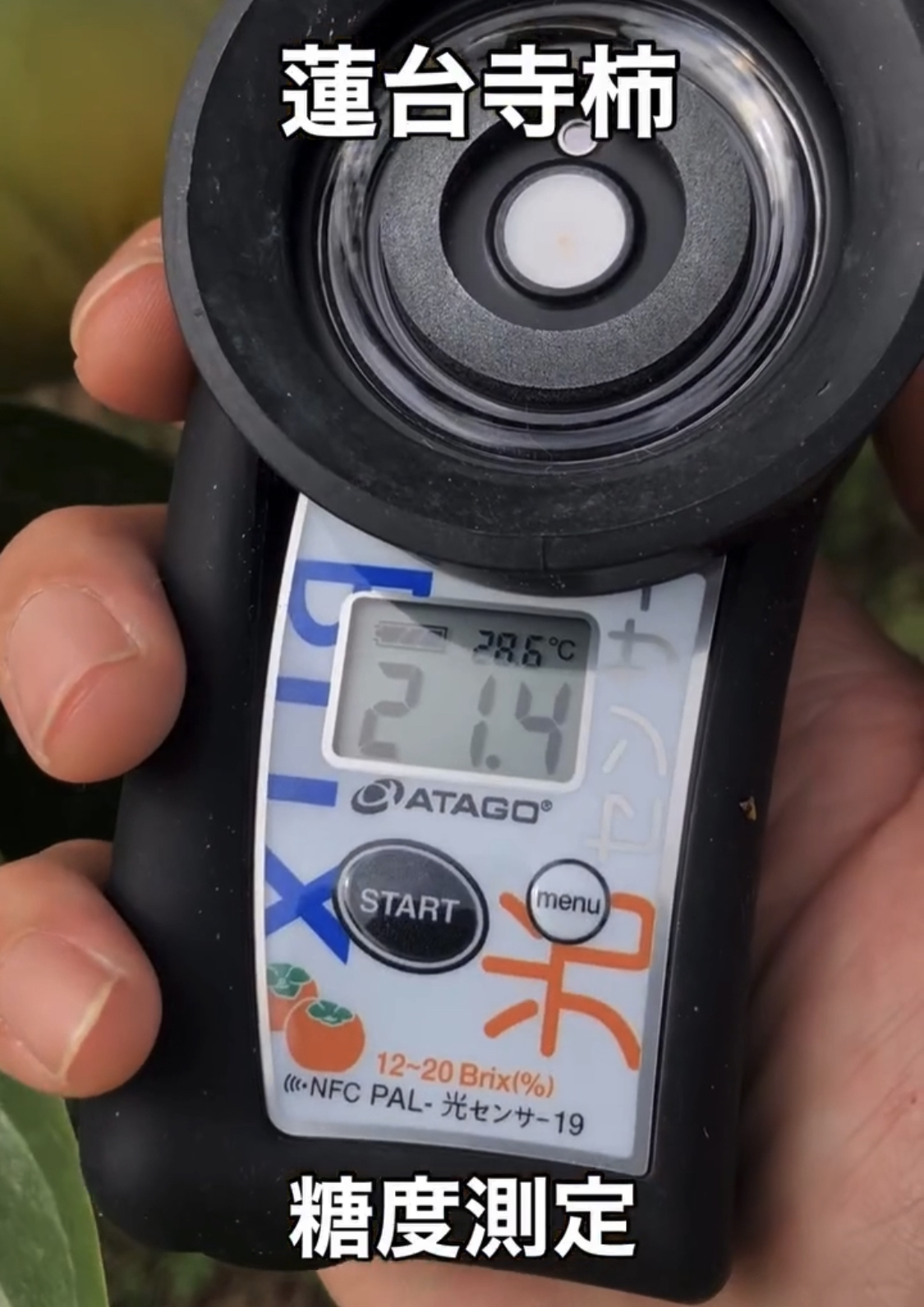 2025年始まります