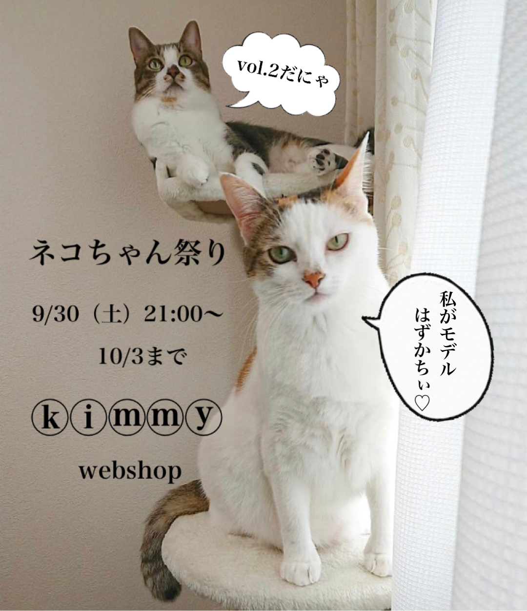 \猫ちゃん祭り/
