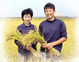 米処・新潟・稲作専業農家　まごころ村のネットショップへようこそ！