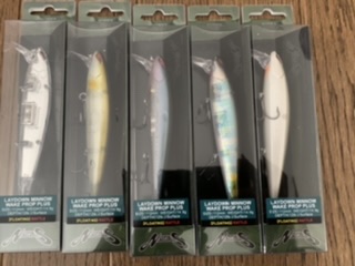 本日の入荷案内②