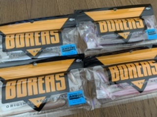 本日の入荷案内①