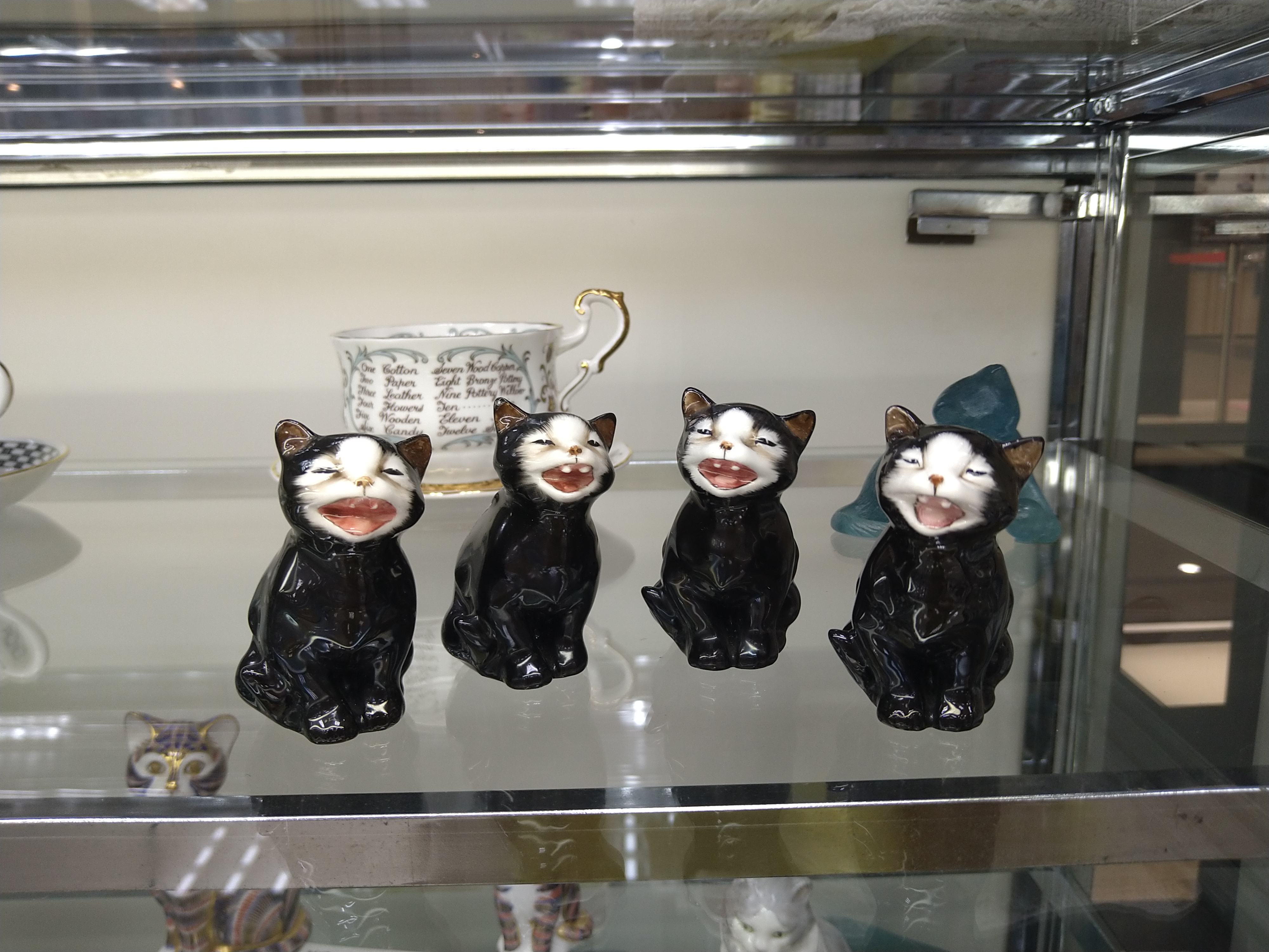 丸善博多店、ラッキーいます