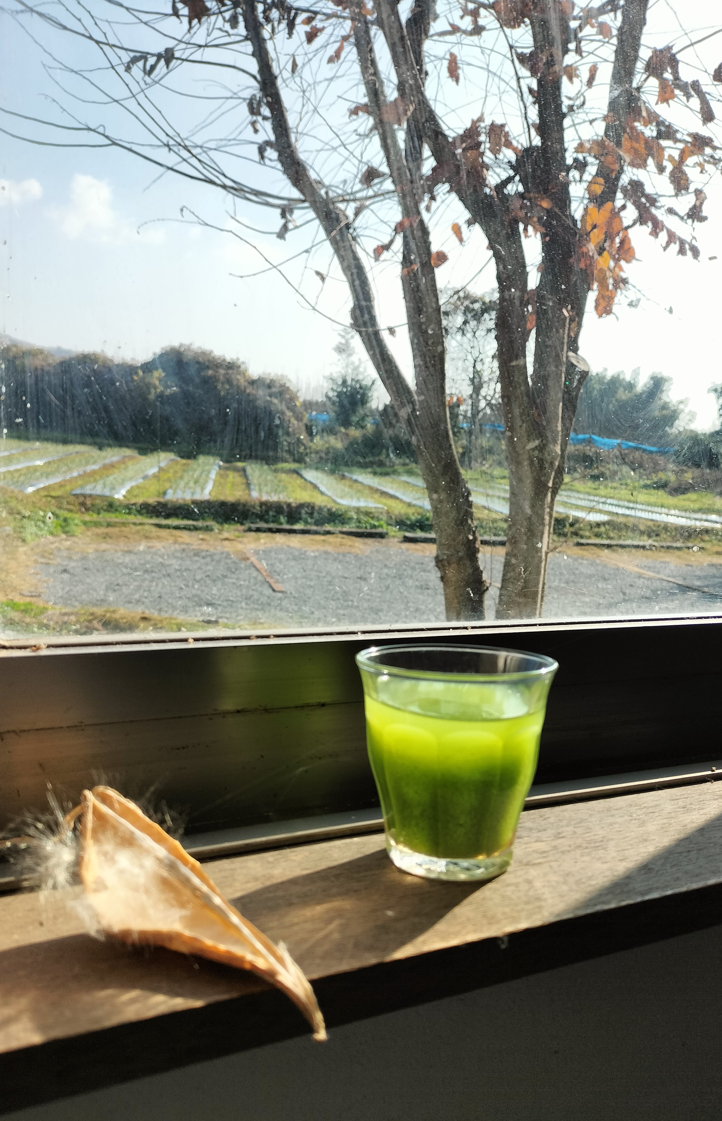 松葉ジュースってなに？？