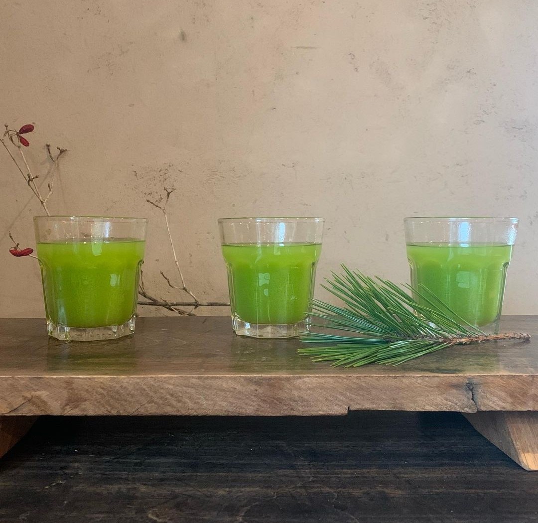 食べたものでからだはできてる。