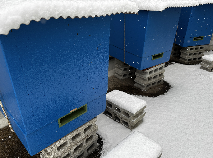 2026年も畑山養蜂をよろしくお願いいたします!