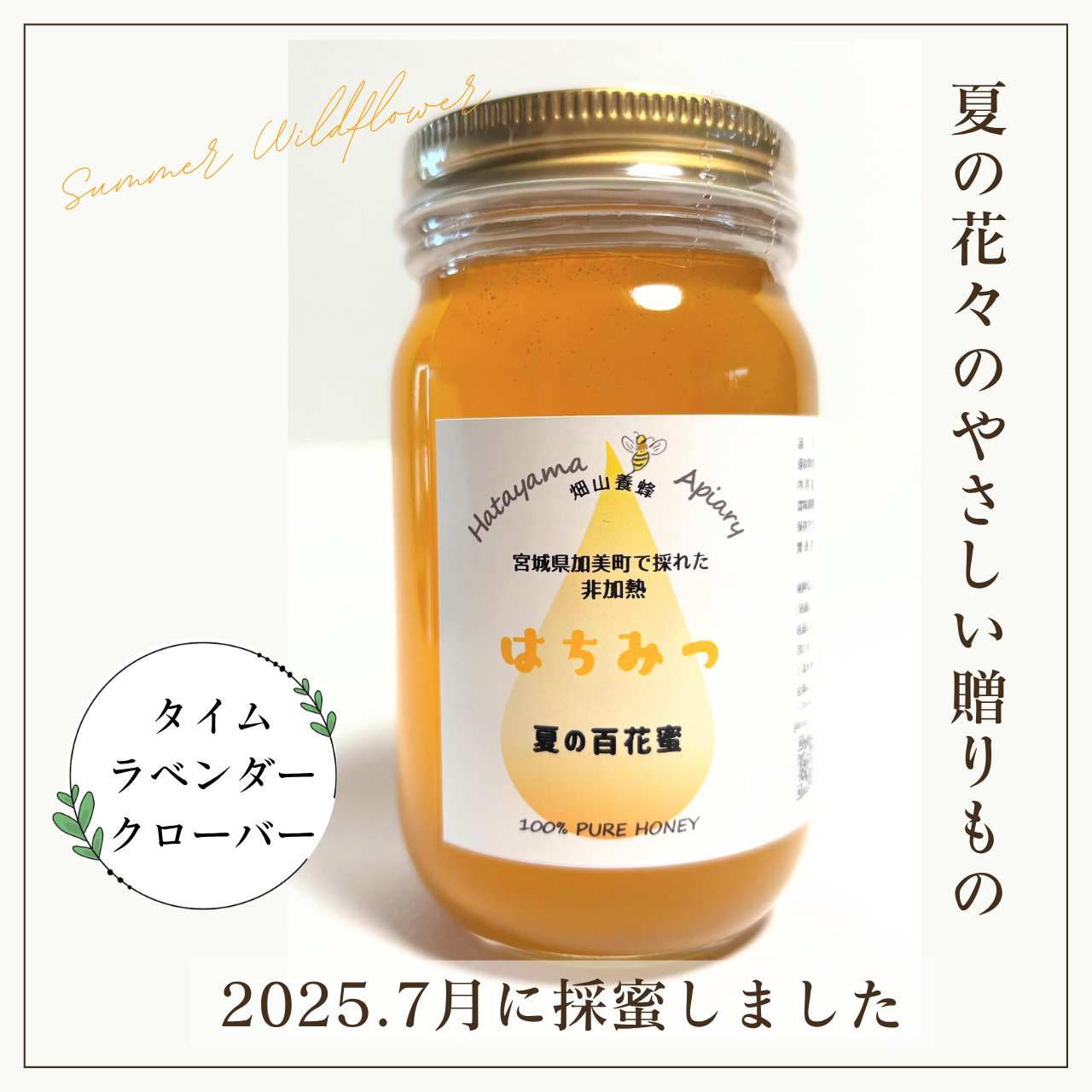 夏の百花蜜、採れました！🌼🍯