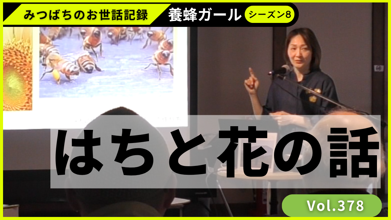 はじめて講演をしてきました🐝