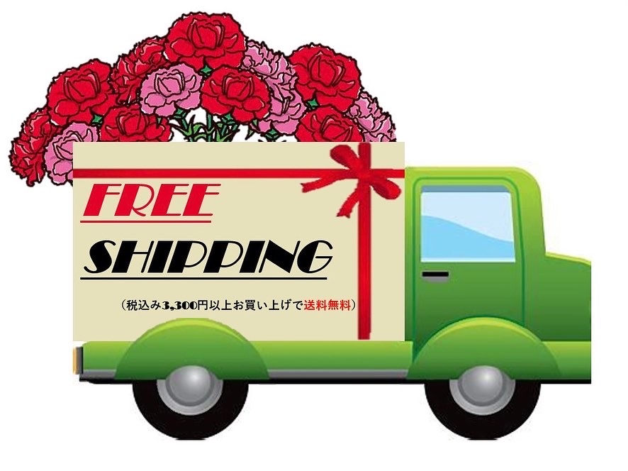 5.8 税込3,300円で送料無料‼️