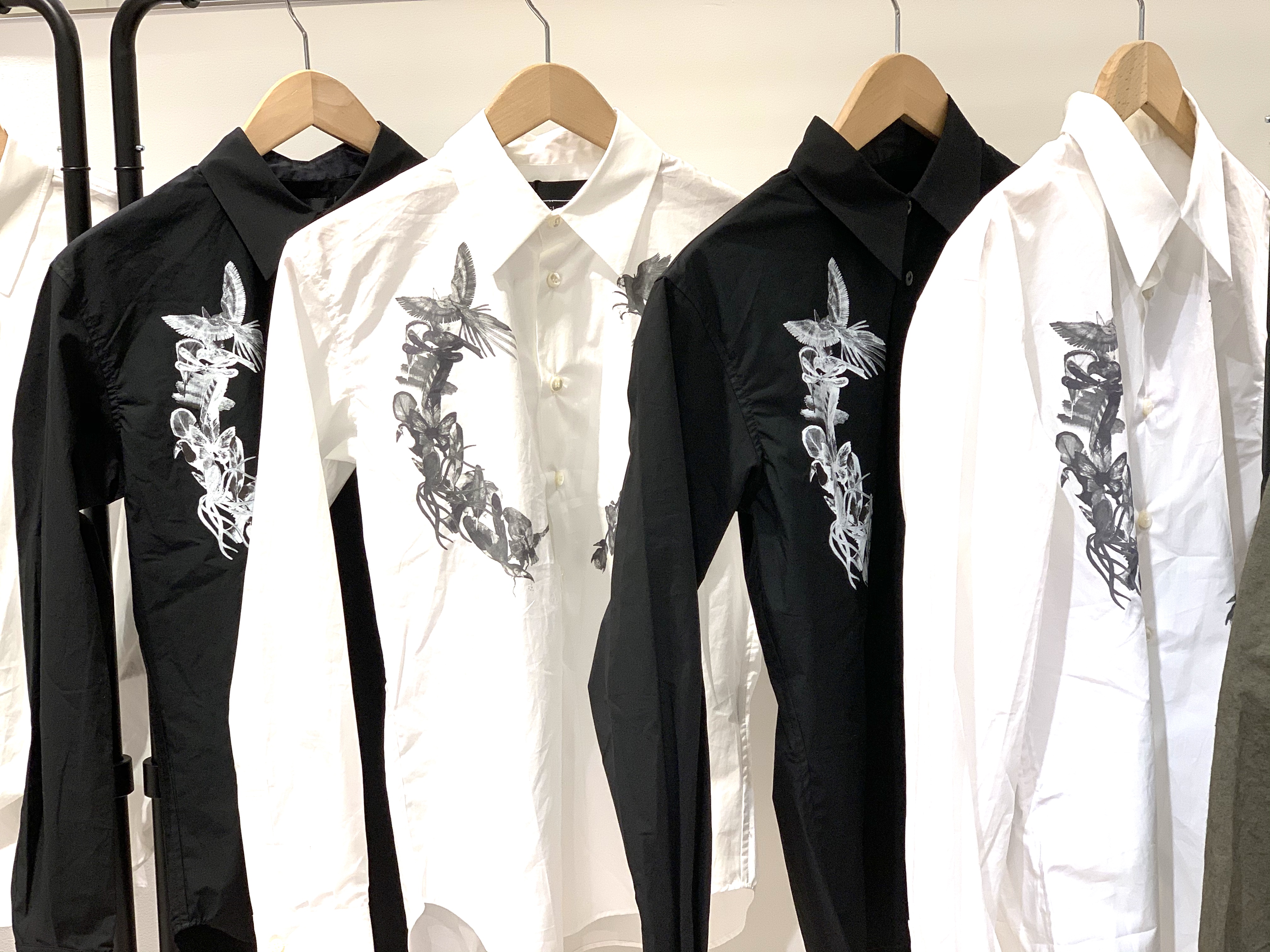 新作入荷