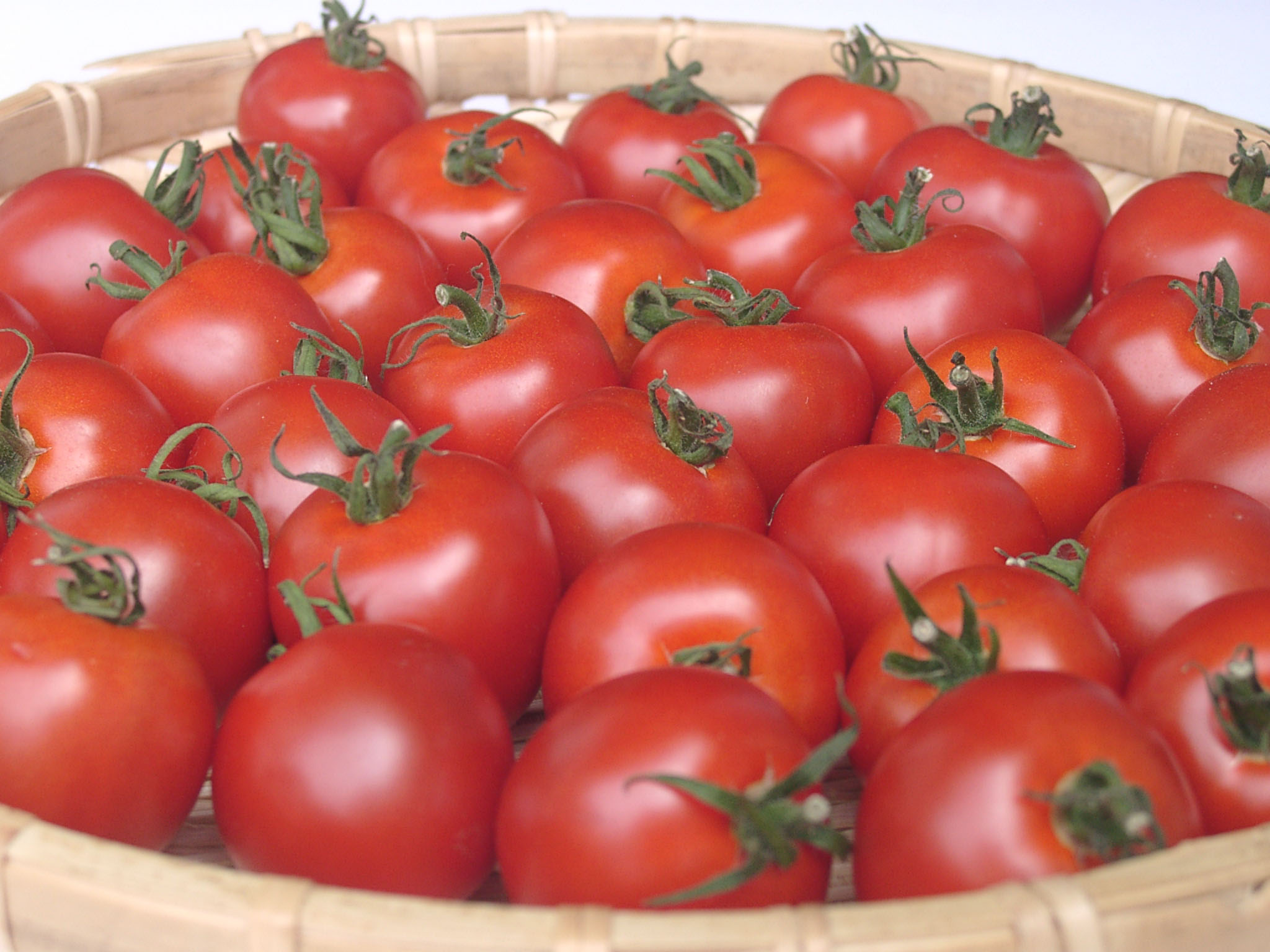 販売を再開しました。