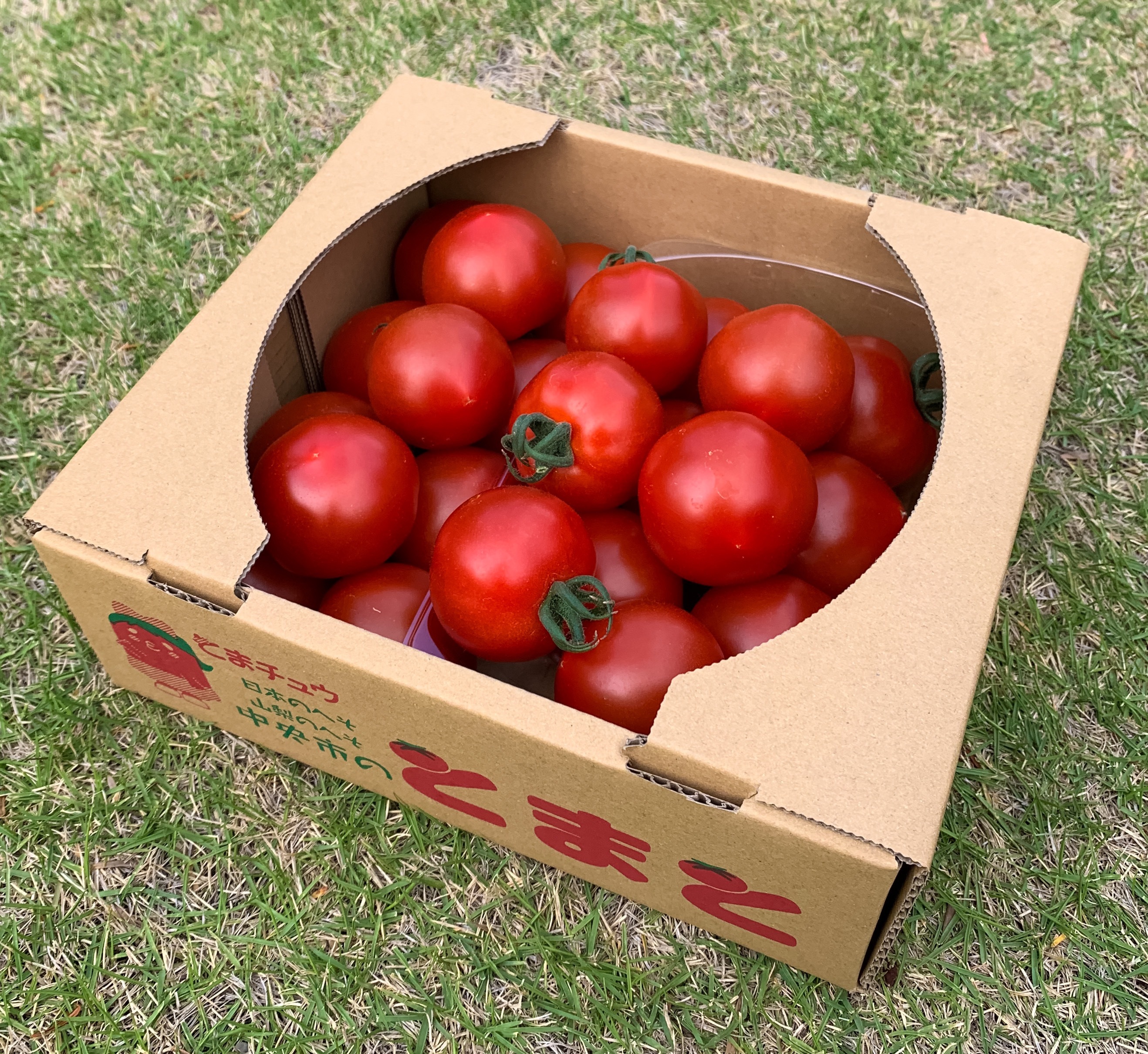 うれしいご感想