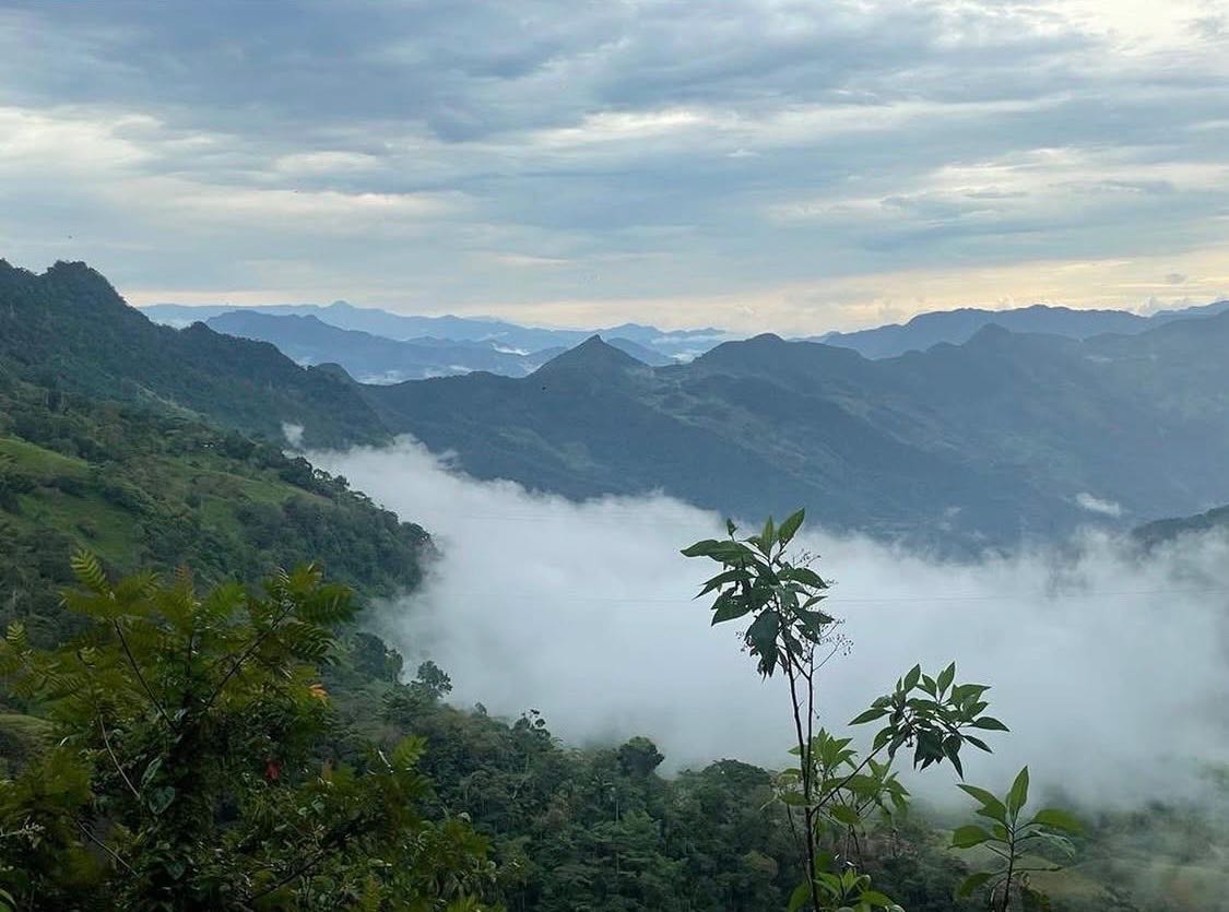 The Story of Colombian Quartz, Part One