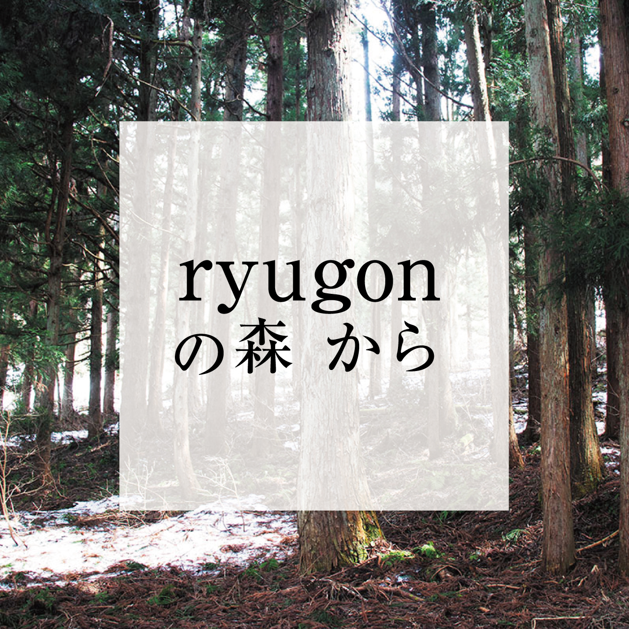 人と里山をつなぐ、 ryugonの森