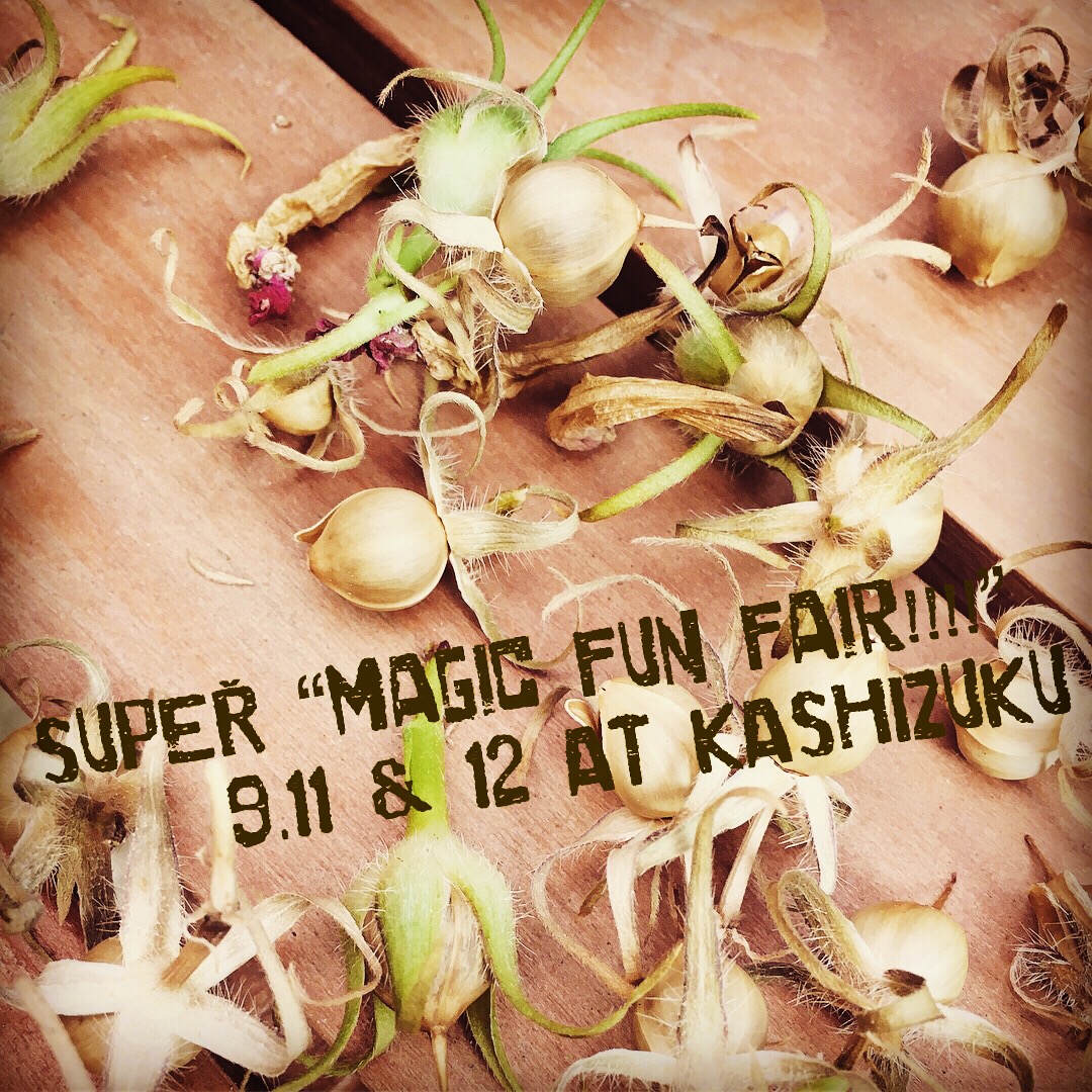 SUPER "magic fun fair!!!!" VOL.5