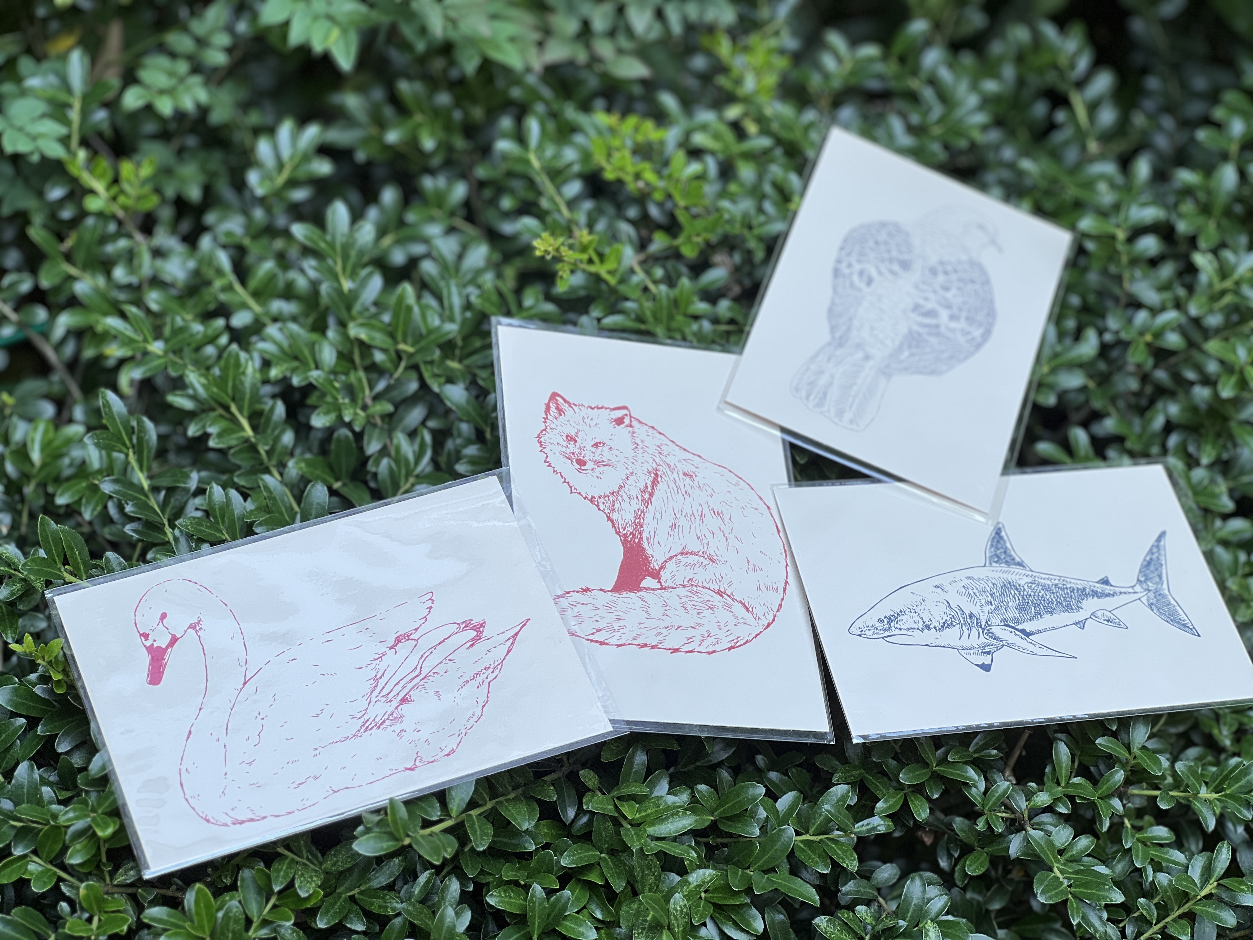 'nemunoki paper item"