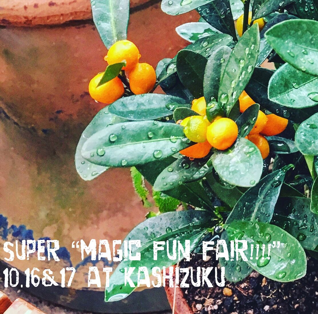 SUPER "magic fun fair!!!!" VOL.6