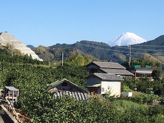 今日の園地　空き部屋あります？！